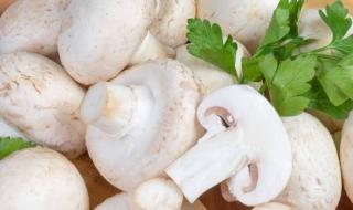 白色的蘑菇圆头怎么吃 白蘑菇是口蘑吗